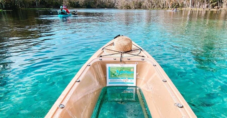 Silver Springs: Glass Bottom Kayak and Wildlife Tour - What to bring and what to leave behind
