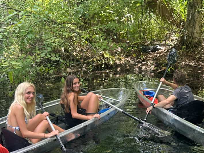 Silver Springs: Guided Clear Kayak or Paddleboard Gator Tour - What makes this Silver Springs tour worth your time