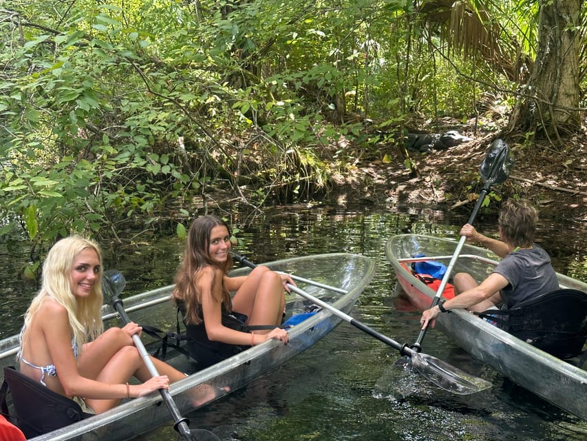 Silver Springs: Guided Clear Kayak or Paddleboard Gator Tour - The honest downside of clear boats