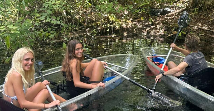 Silver Springs: Guided Clear Kayak or Paddleboard Gator Tour - Starting at 5656 E Silver Springs Boulevard