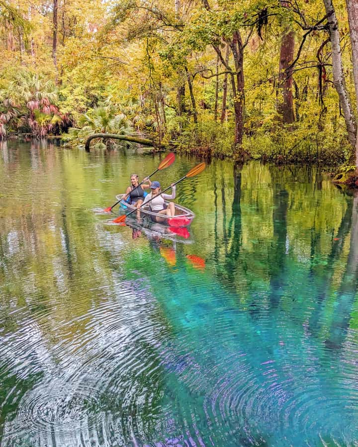 Silver Springs: Jungle Kayaking & Paddleboarding Adventure - Key points to know before you go