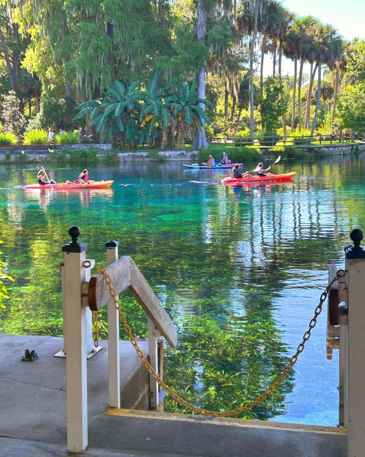 Silver Springs: Jungle Kayaking & Paddleboarding Adventure - Why Silver Springs works so well from the water