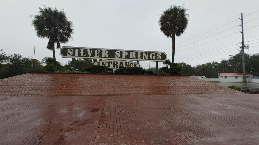 Silver Springs Manatee Kayaking Tour - What makes this Silver Springs tour worth considering