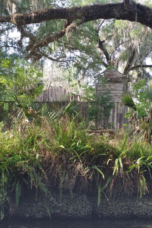 Silver Springs Manatee Kayaking Tour - Weather, clothing, and what to pack