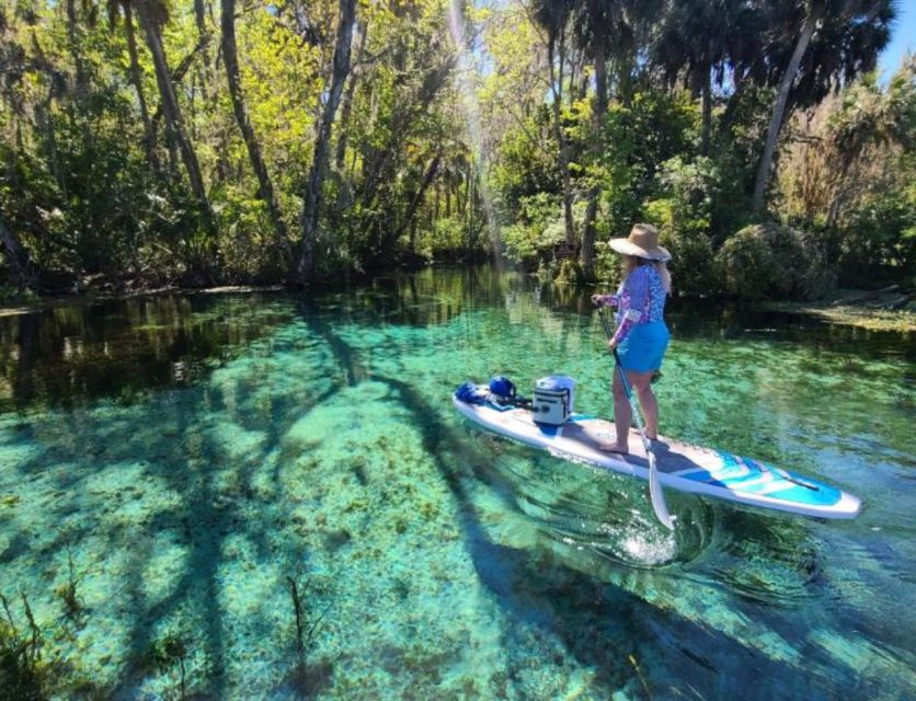 Silver Springs: Manatees and Monkeys Clear Kayak Guided Tour - Key things to know before paddling out