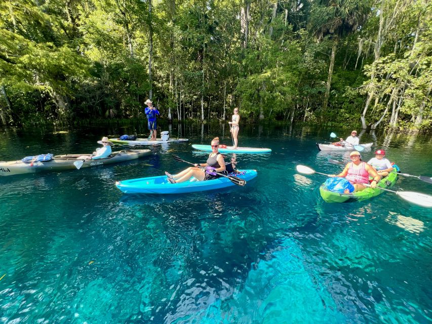 Silver Springs: Manatees and Monkeys Clear Kayak Guided Tour - Is $80 per person a fair price?
