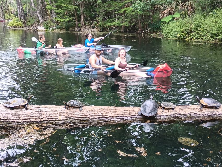 Silver Springs: Manatees and Monkeys Clear Kayak Guided Tour - Who should book this Silver Springs tour?
