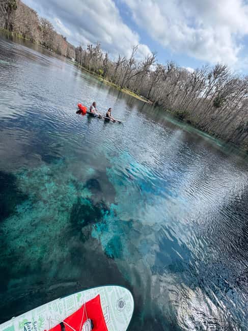 Silver Springs: Silver River Guided Kayak Tour - Key points before you book