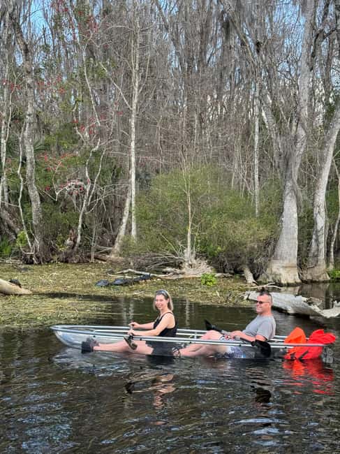 Silver Springs: Silver River Guided Kayak Tour - What the 90-minute route feels like