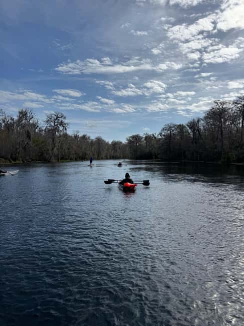 Silver Springs: Silver River Guided Kayak Tour - Who will enjoy this tour most
