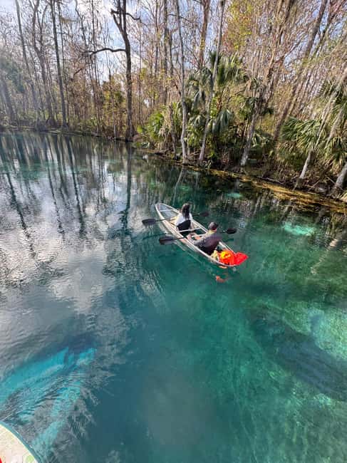 Silver Springs: Silver River Guided Kayak Tour - Meeting at Silver Springs State Park