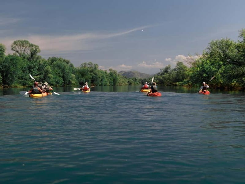 Skadar Lake: 4-Hour Guided tours on Kayak - Through the Moraca River and the reed channels