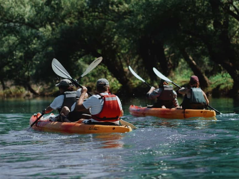 Skadar Lake: 4-Hour Guided tours on Kayak - Kamenik: wildlife, reeds, and quiet water
