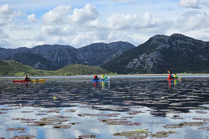 Skadar Lake on kayaks Experience with Spectacular Views - A Full Day From Budva to Lake Skadar