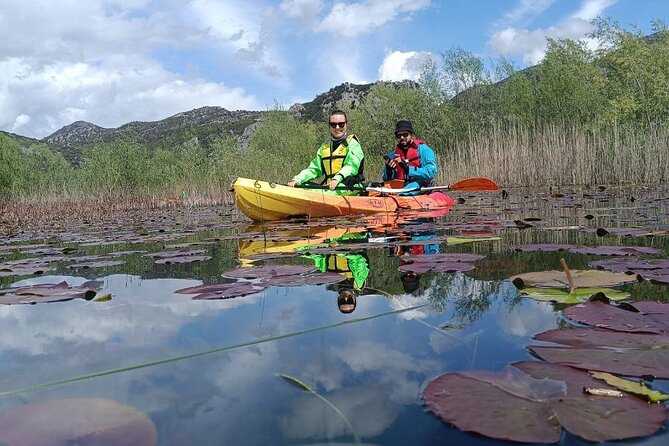 Skadar Lake on kayaks Experience with Spectacular Views - Birds Along the Lake