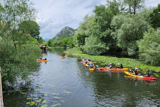 Skadar Lake on kayaks Experience with Spectacular Views - How the Guides Shape the Day
