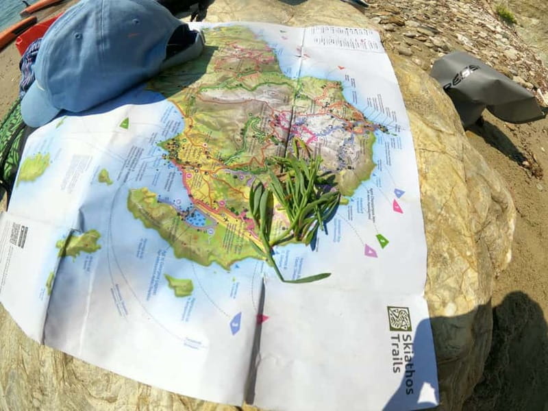 Skiathos: Guided Sea Kayaking Tour with Swim Stop - Key points to know before booking