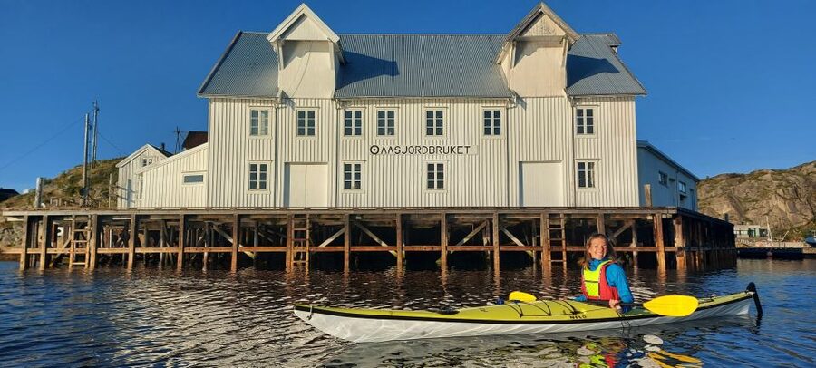 Skrova Island : 3hours Guided Kayak Tour - Should you book the Skrova kayak tour?