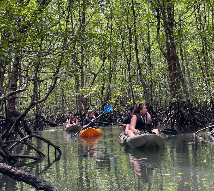 Small Group, Big Heart: Kilim Karst Mangrove Kayak Adventure - Lunch at the floating fish farm hub