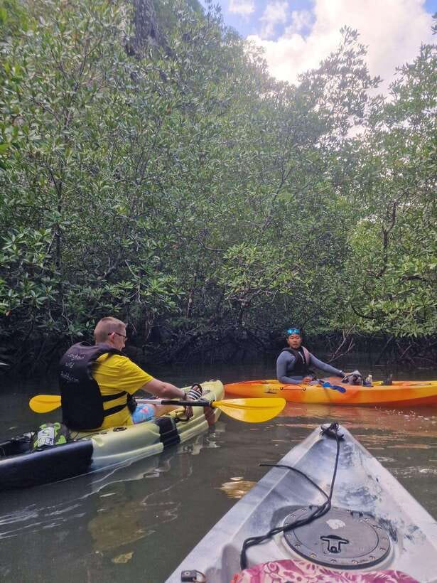Small Group, Big Heart: Kilim Karst Mangrove Kayak Adventure - What is included for $69