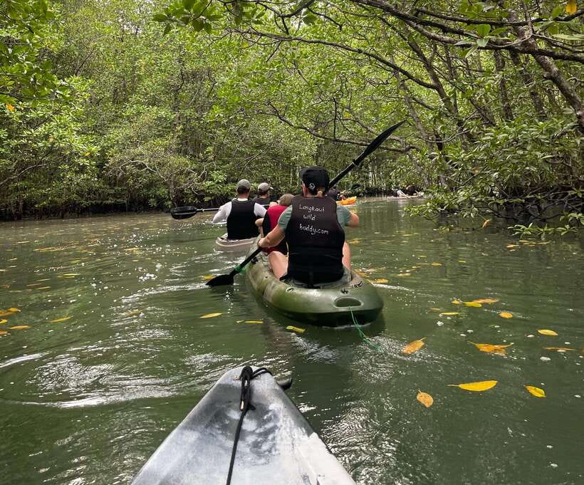 Small Group, Big Heart: Kilim Karst Mangrove Kayak Adventure - What to bring and what to leave behind