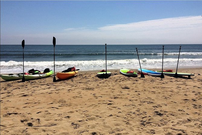 Small Group Dolphin Kayak Eco-Tour - What the $68 price gets you on the water