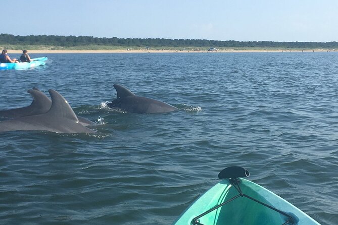 Small Group Dolphin Kayak Eco-Tour - Learning the basics before launch