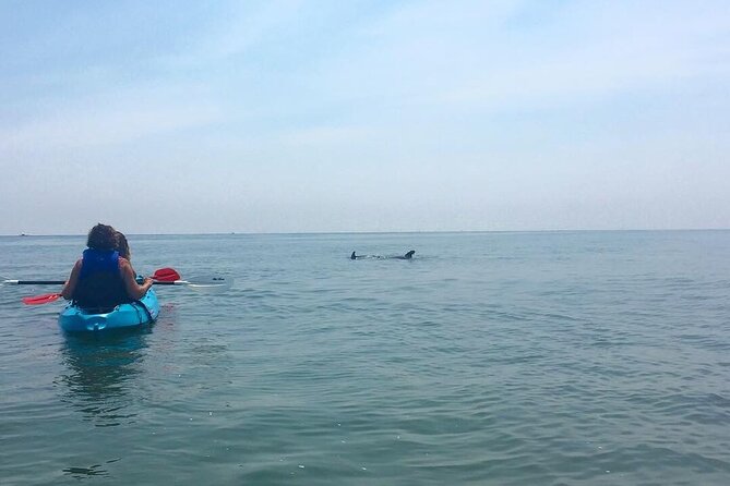 Small Group Dolphin Kayak Eco-Tour - Why the small group matters