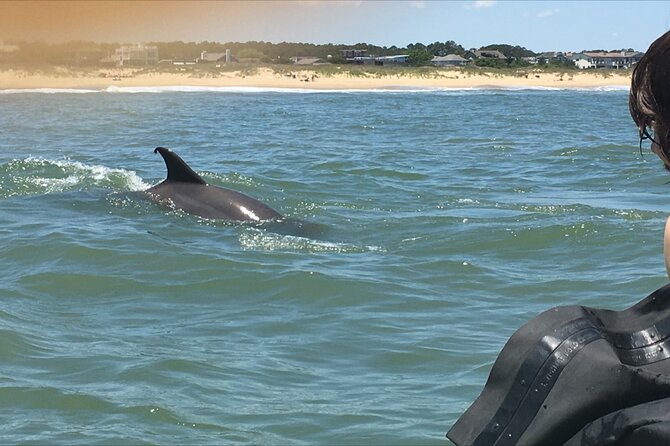 Small Group Dolphin Kayak Eco-Tour - Family suitability and physical effort