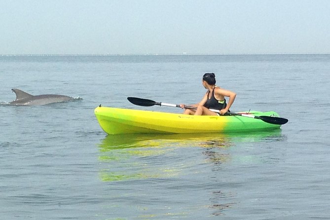 Small Group Dolphin Kayak Eco-Tour - Meeting at North End Beach