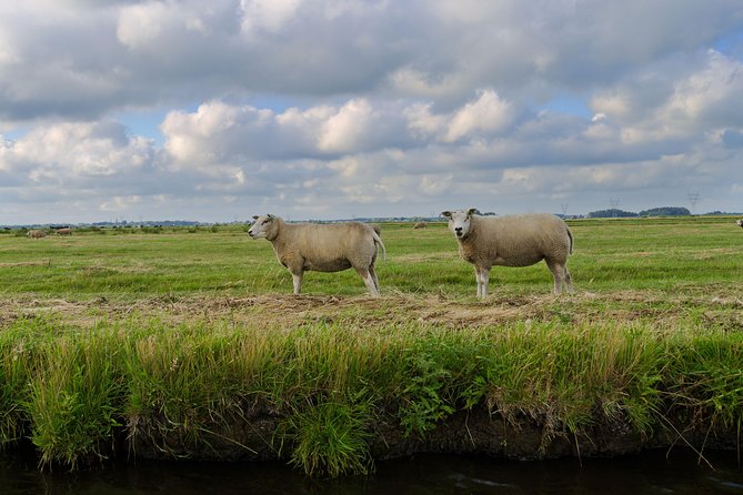 Small-Group Guided Sunset Canoe Tour in Waterland with Dinner - Who will enjoy this most