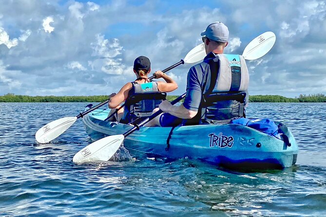 Small Group Kayak Tour of the Shell Key Preserve - Shell Key beach time and shell collecting