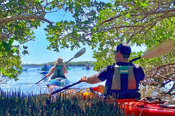 Small Group Kayak Tour of the Shell Key Preserve - Guides make the difference