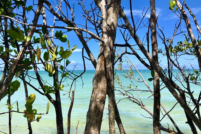 Small Group Kayak Tour of the Shell Key Preserve - How hard is the three-hour paddle?