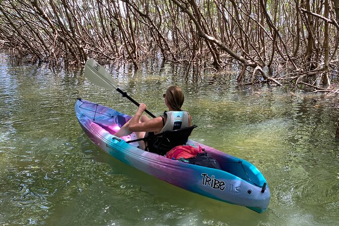Small Group Kayak Tour of the Shell Key Preserve - Is the $79 price fair?