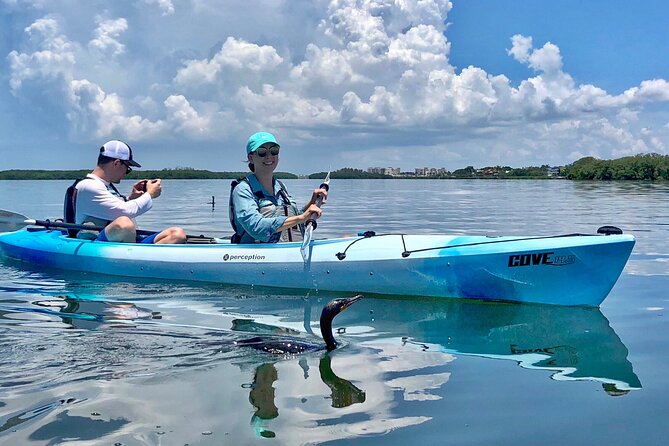 Small Group Kayak Tour of the Shell Key Preserve - Weather, timing, and cancellation details