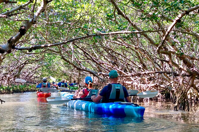 Small Group Kayak Tour of the Shell Key Preserve - Open water first, then the mangroves