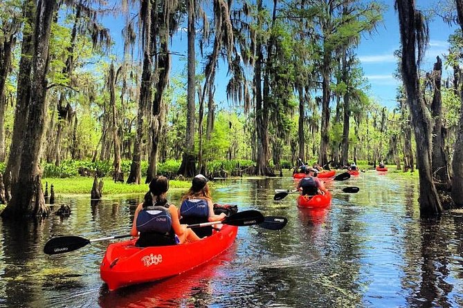 Small-Group Manchac Swamp Kayak Tour - Five things to know before you book
