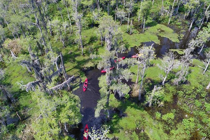 Small-Group Manchac Swamp Kayak Tour - Leaving New Orleans for Manchac Swamp