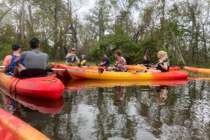 Small-Group Manchac Swamp Kayak Tour - Wildlife sightings depend on patience and luck