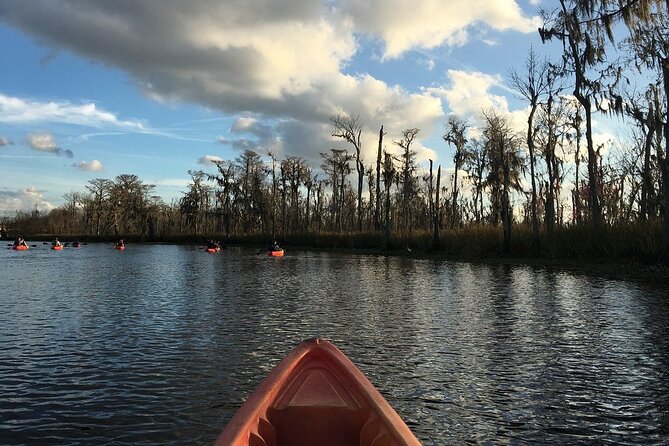 Small-Group Manchac Swamp Kayak Tour - What to wear and pack for the swamp