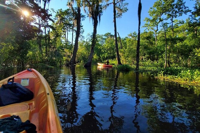 Small-Group Manchac Swamp Kayak Tour - How the value compares with a standard swamp boat ride