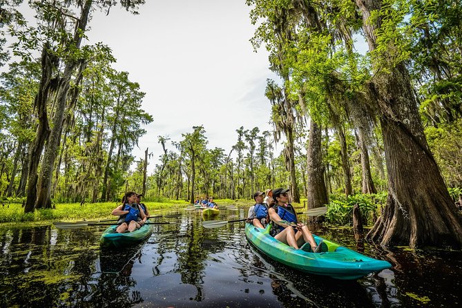 Small-Group Manchac Swamp Kayak Tour with Local Guide - Key Things to Know Before You Paddle