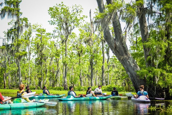 Small-Group Manchac Swamp Kayak Tour with Local Guide - How Much Work Is the Two-Hour Paddle?