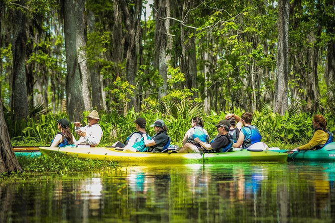 Small-Group Manchac Swamp Kayak Tour with Local Guide - Choosing the Right Season and Conditions