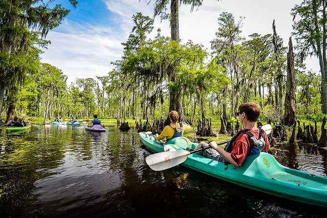 Small-Group Manchac Swamp Kayak Tour with Local Guide - Getting Your Kayak Legs at Wild Louisiana Launch