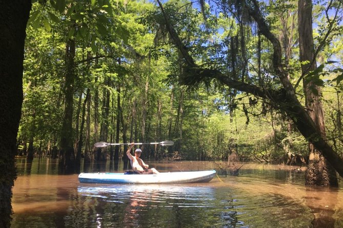 Small-Group Manchac Swamp Kayak Tour - A calm start with tandem kayaks and a short lesson