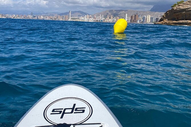 Small Group Paddle Surf Experience in Benidorm - Meeting point, timing, and booking cautions