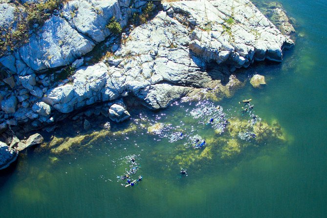 Snorkel, Kayak, and Seal Adventure: Vancouver Boat Tour - Leaving Horseshoe Bay at 2 p.m.
