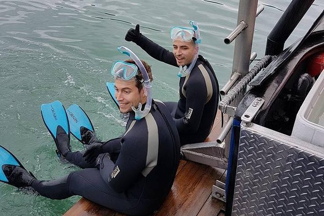 Snorkel, Kayak, and Seal Adventure: Vancouver Boat Tour - Switching activities, or staying dry on the boat